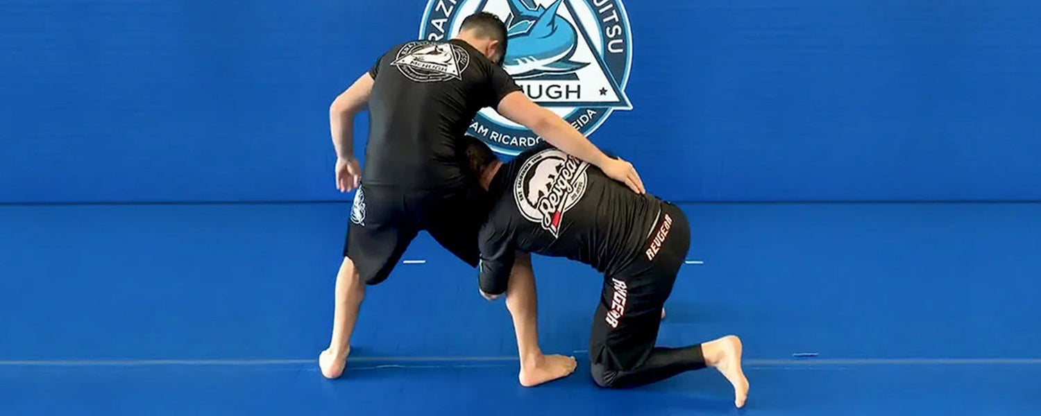 10 Best Wrestling Moves For BJJ?