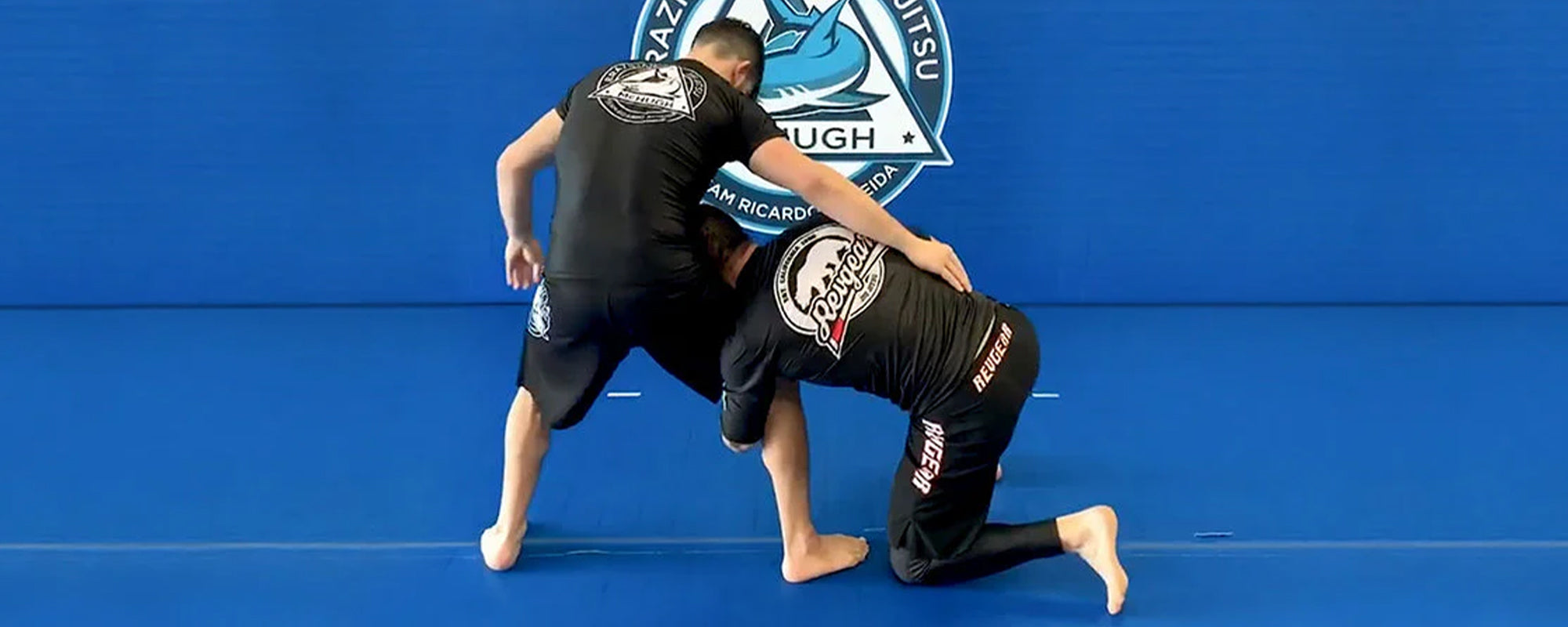 10 Best Wrestling Moves For BJJ?