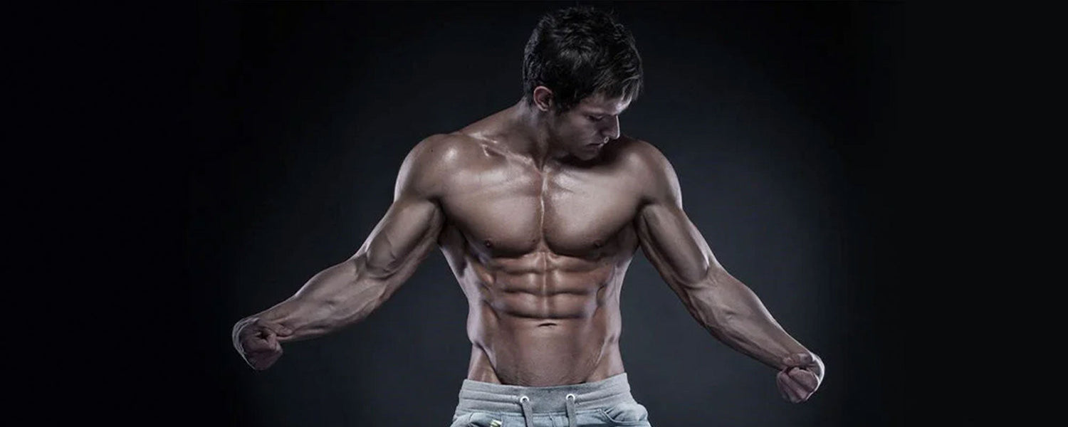 Best Beginner Ab Workout: How To Build Abs of Steel