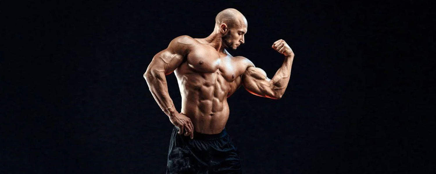 Best Biceps Workout Exercises For Building Massive Peaks