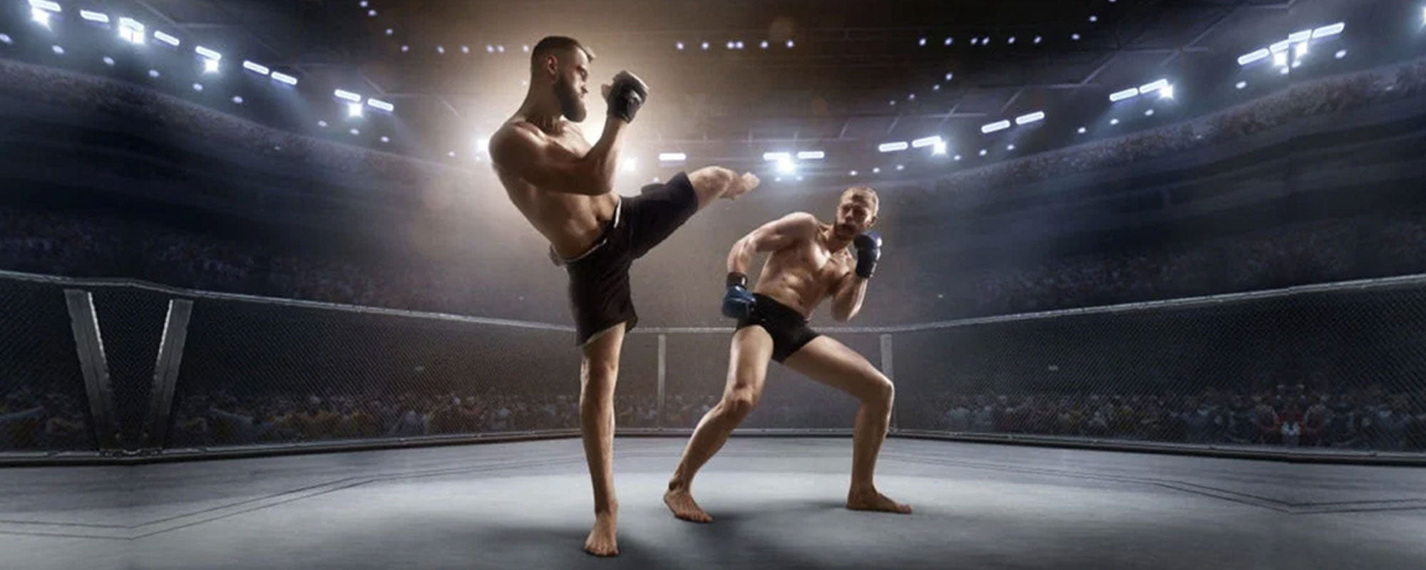 Best Strength Exercises for MMA Fighters