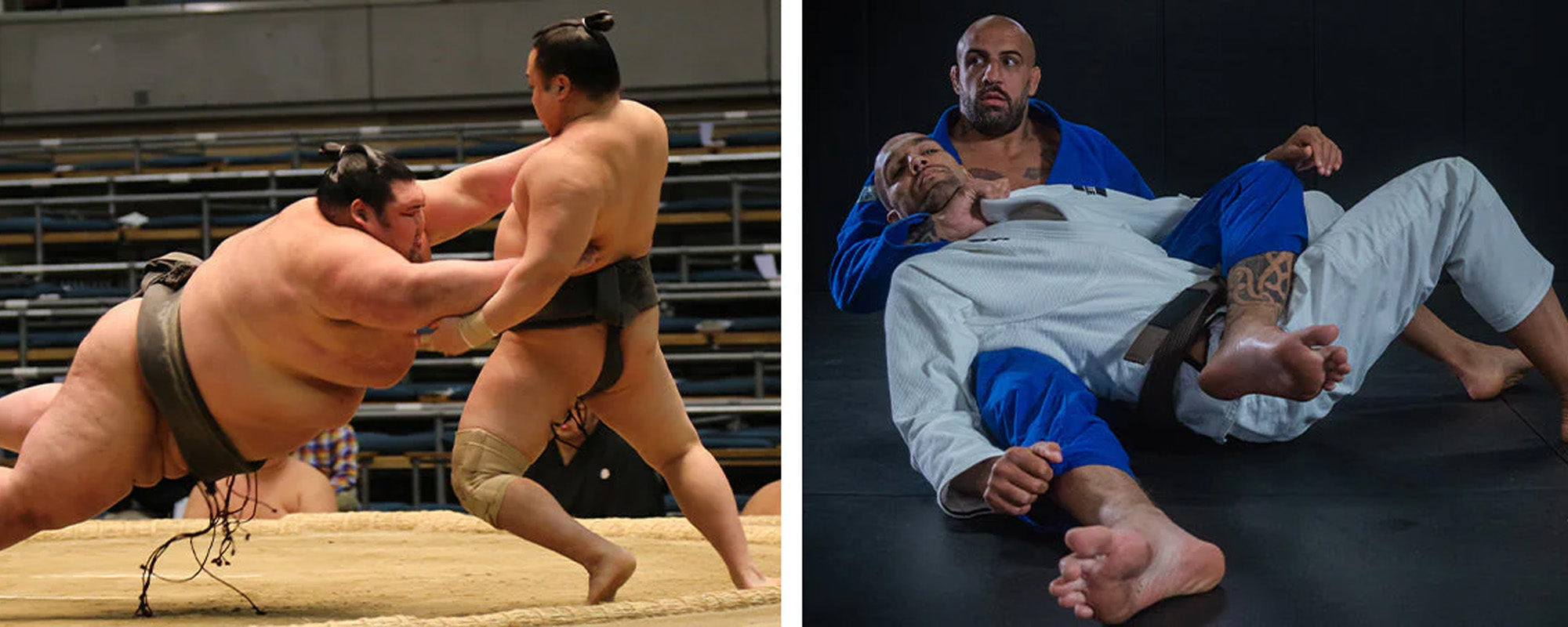 BJJ Vs Sumo A Detailed Comparison