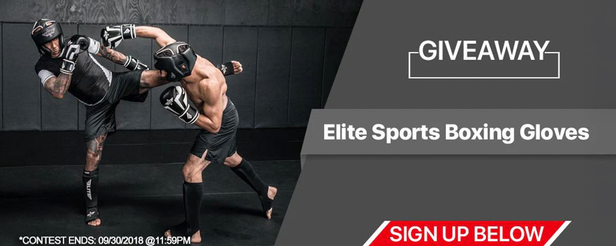 Elite Sports Boxing Gloves Giveaway