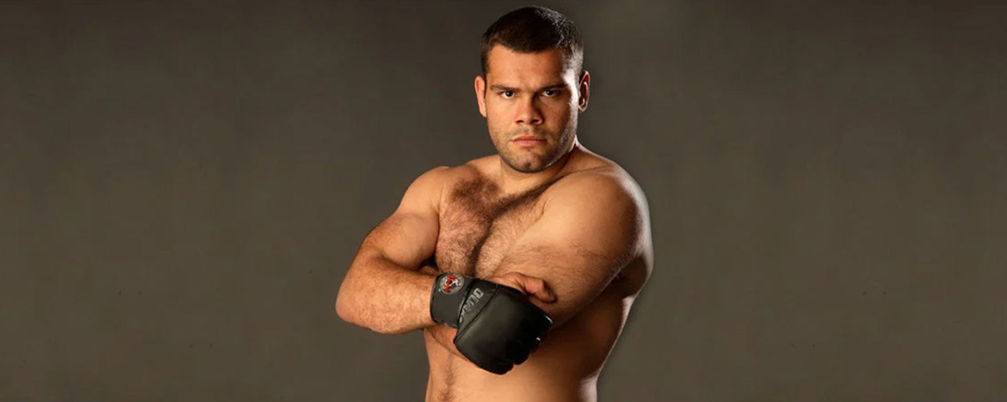 Gabriel Gonzaga - UFC Heavyweight Champion