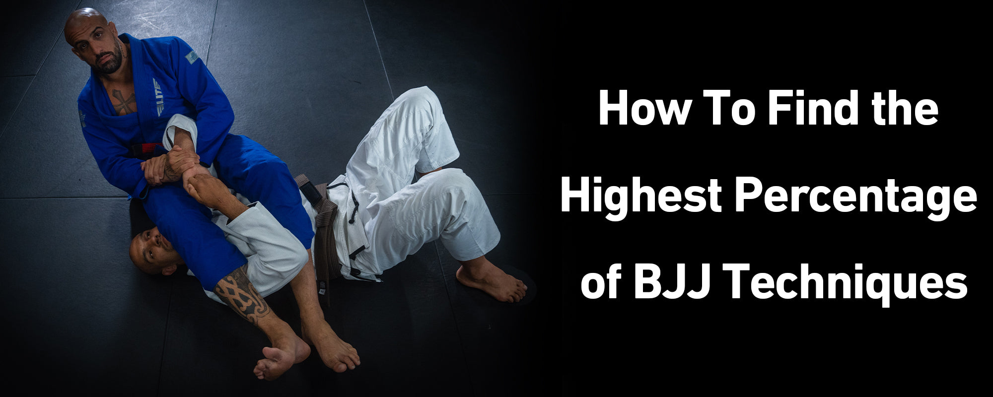 How To Find the Highest Percentage of BJJ Techniques