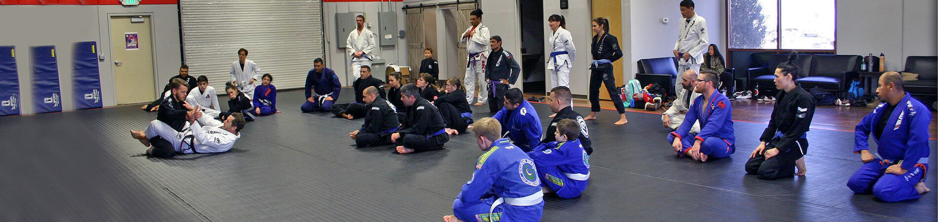 Are BJJ Seminars Worth The Time?