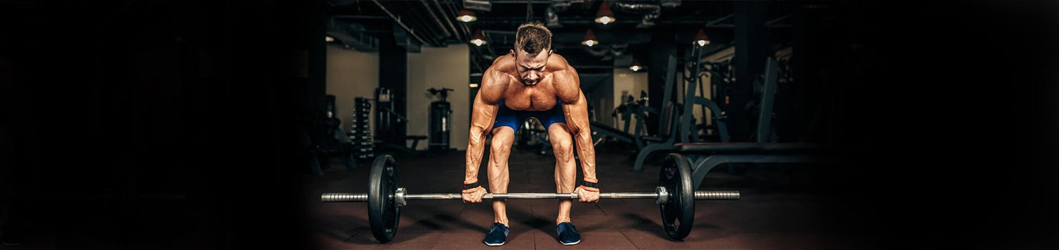 Hamstring Gym Workout: Best Hamstring Workouts for Beginners