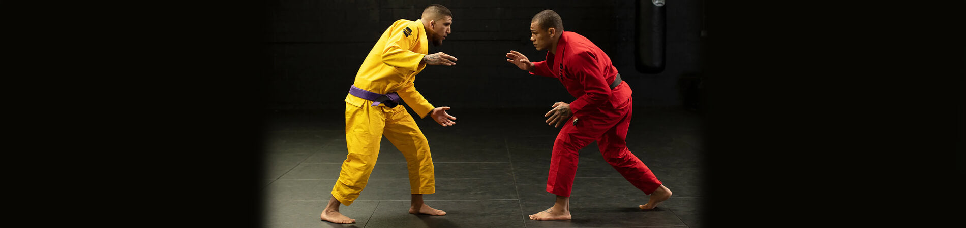 Why BJJ is Becoming the Future Face of MMA?