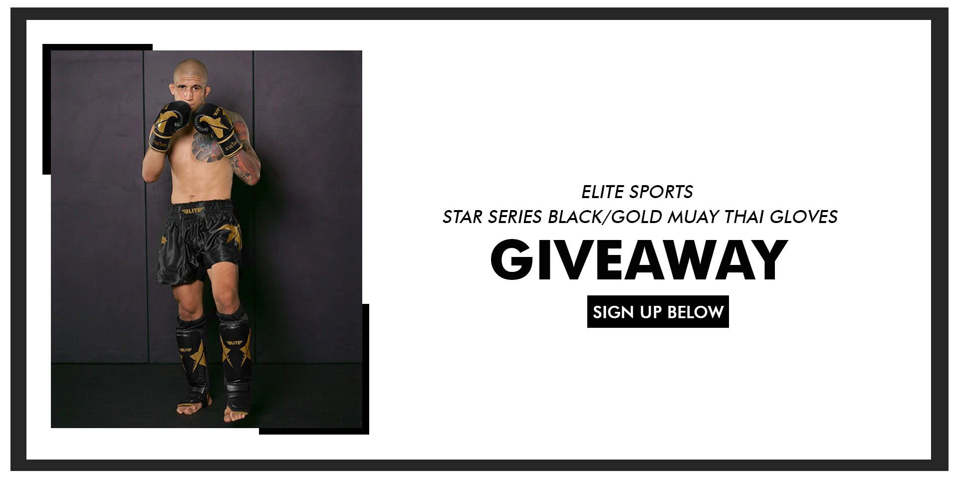 Elite Sports Star Muay Thai Gloves Giveaway!