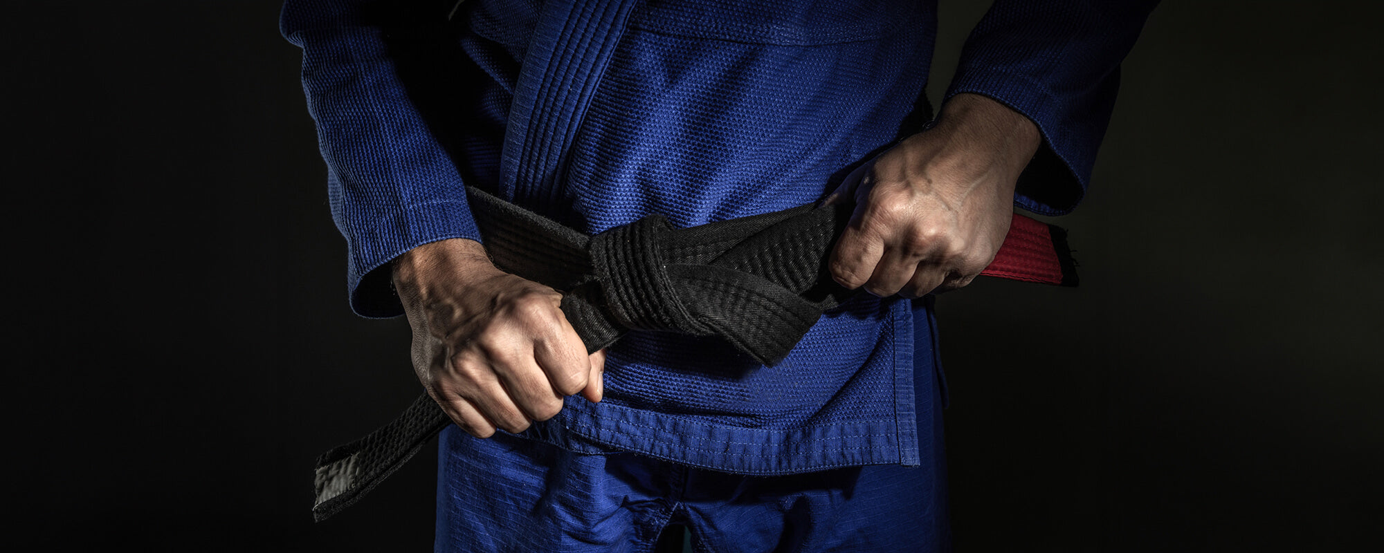 In-Depth Guide - Basic Concepts of BJJ