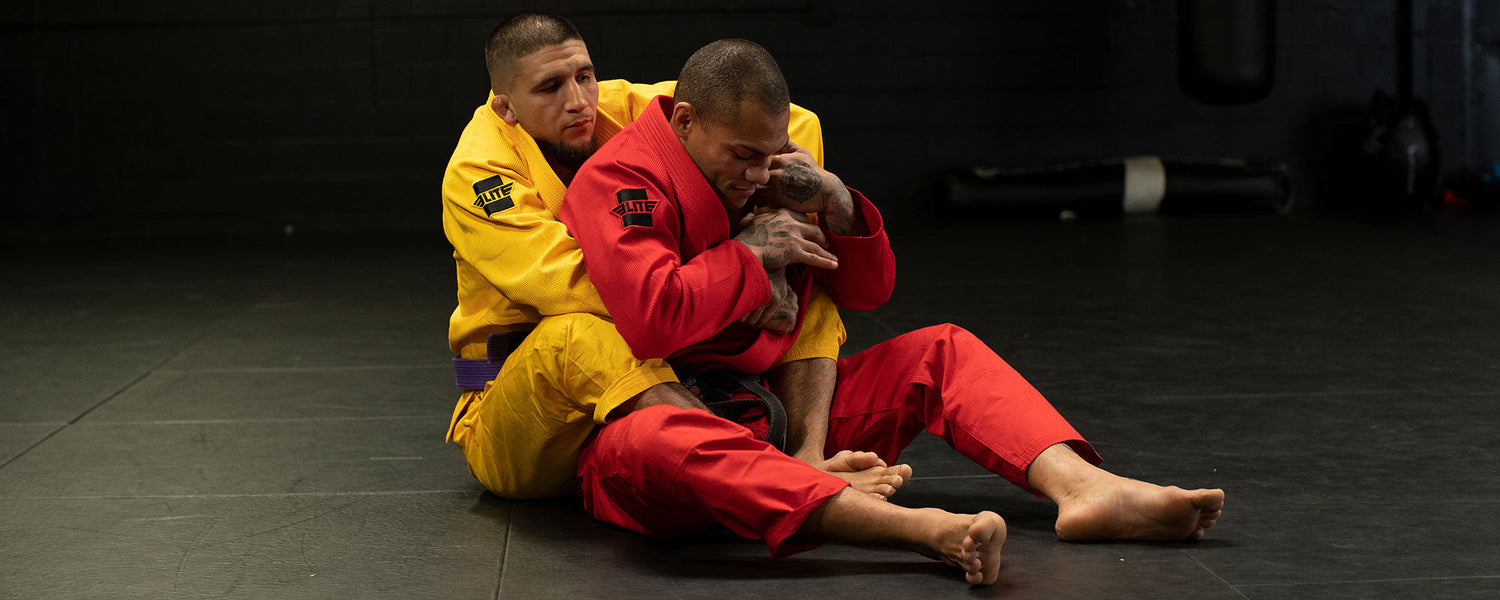 Master the Rear Naked Choke (RNC) Execution for BJJ and MMA