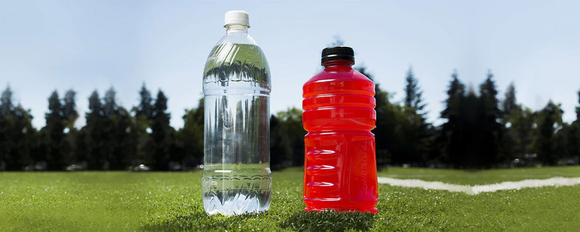 Plain Water Vs Sports Drinks: Which Is Best For BJJ Training?