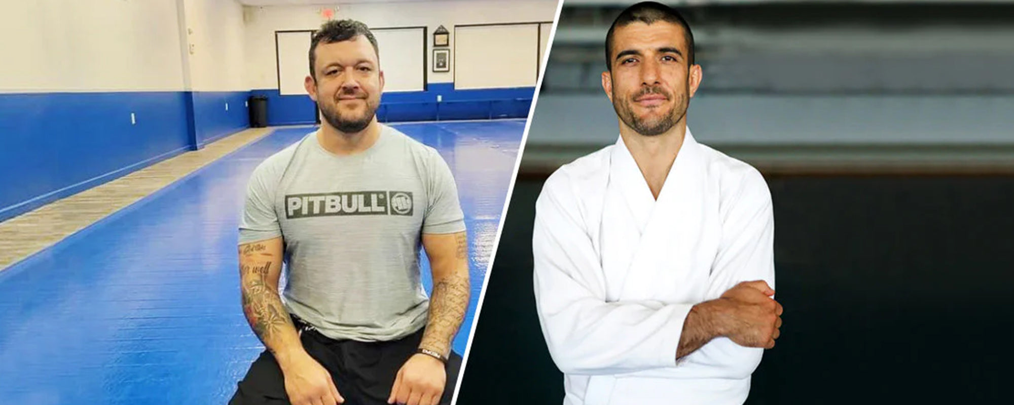 Technical Breakdown of the Expert Witness Rener Gracie and $46 Million Lawsuit