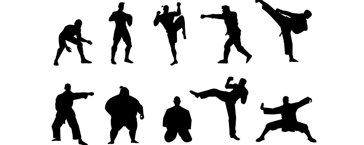 top-11-most-common-martial-arts-styles-in-the-world