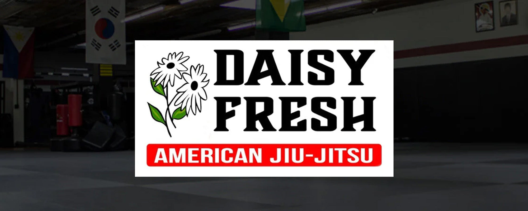 What You Need To Know About Daisy Fresh BJJ